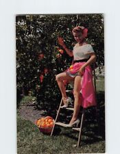 Postcard Woman Picking Oranges Florida USA picture