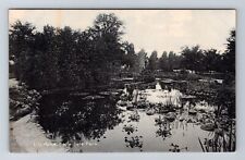 Detroit MI-Michigan, Lily Pond, Belle Isle Park, Antique, Vintage Postcard picture