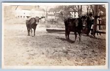 1907-1919 ERA RPPC*DANIELSON CONNECTICUT?*CT*COWS*FARM*BARN*HOUSE*PEOPLE*AZO picture