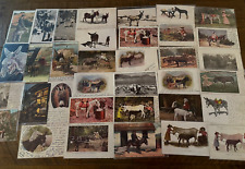 Lot of 36 ~Antique ~1900's Animal Postcards with DONKEYS Mules~ BURROS~h652 picture