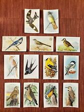 1918-38 ARM & HAMMER USEFUL BIRDS OF AMERICA LOT OF 13 BLUE JAY TOWHEE GOLDFINCH picture