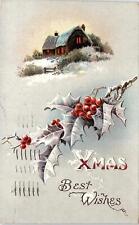 c1915 CHRISTMAS XMAS BEST WISHES HOLLY BERRY WISCONSIN EMBOSSED POSTCARD 41-156 picture