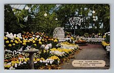 Milwaukee WI-Wisconsin, Mitchell Park Conservatory, Mum Vintage c1952 Postcard picture