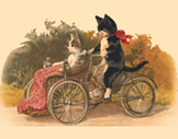 273. Cats on Trike