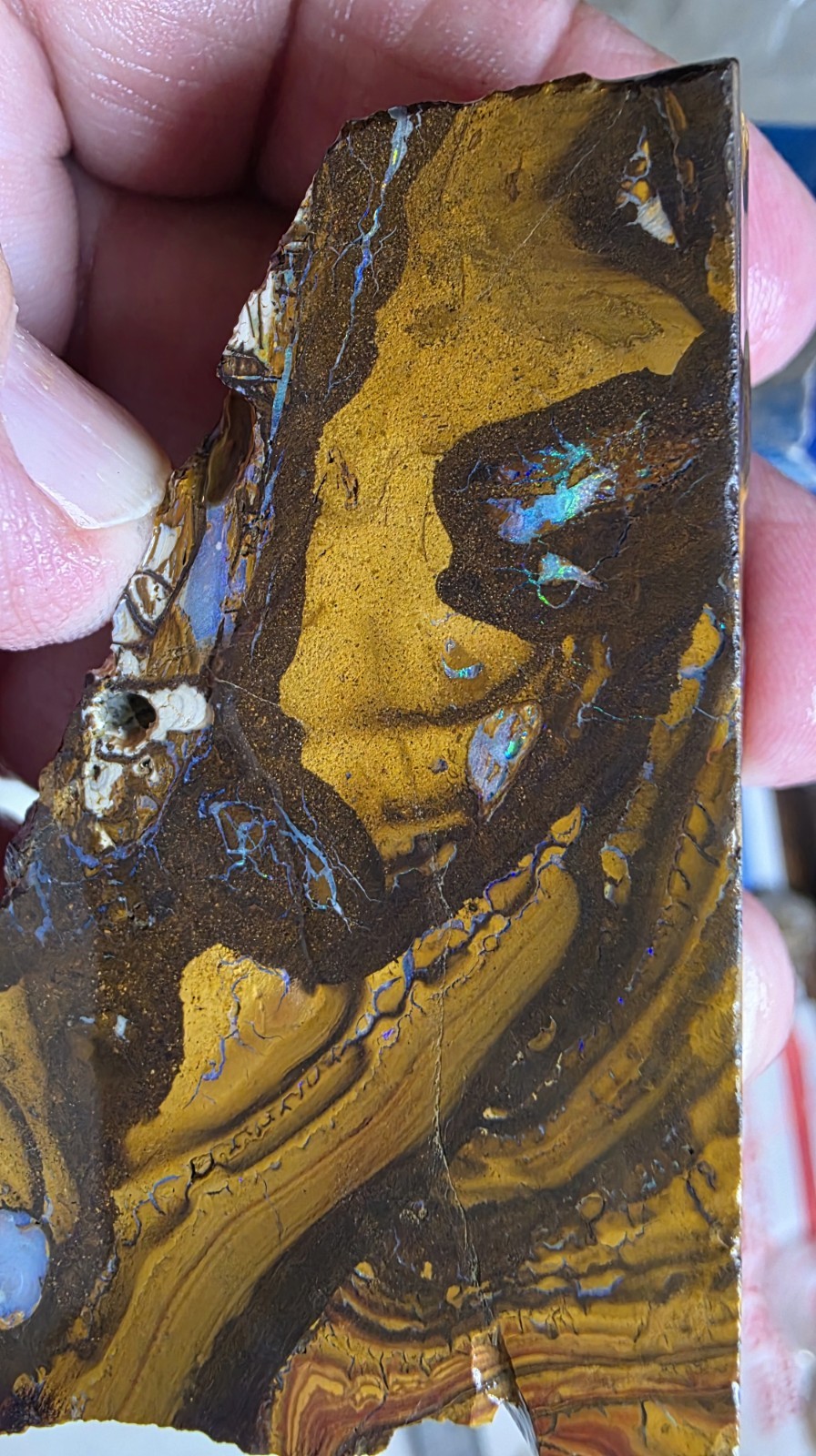 Australian Boulder opal Nice Chunk Of rough  520 Cts.  