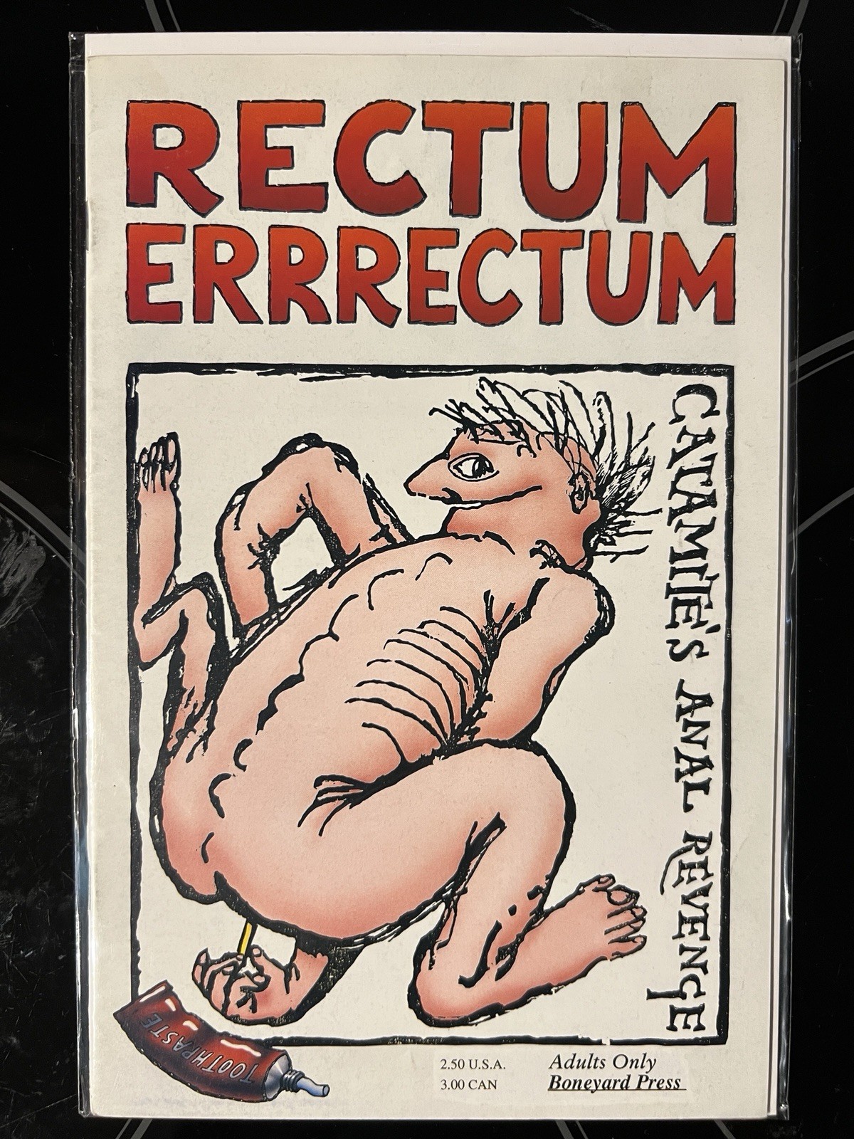 Rectum Errrectum #1 Boneyard Press 1991 1st Printing Underground Comix RARE 👀