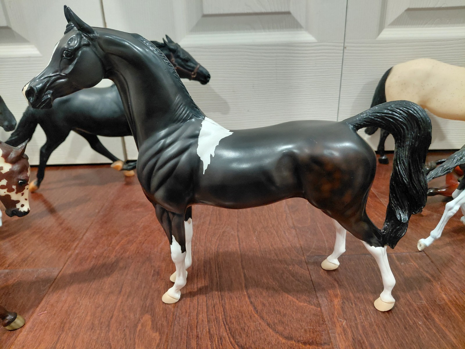 Peter Stone Arabian Horse Black And White 