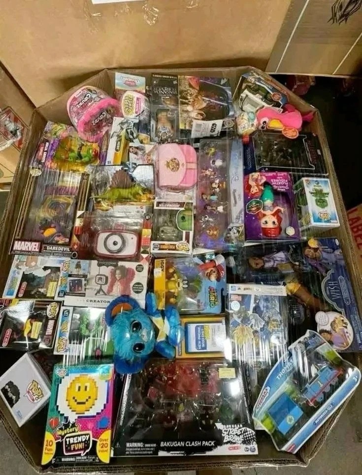 Large Retail Liquidation Mystery Box –Target Walmart TJ Maxx