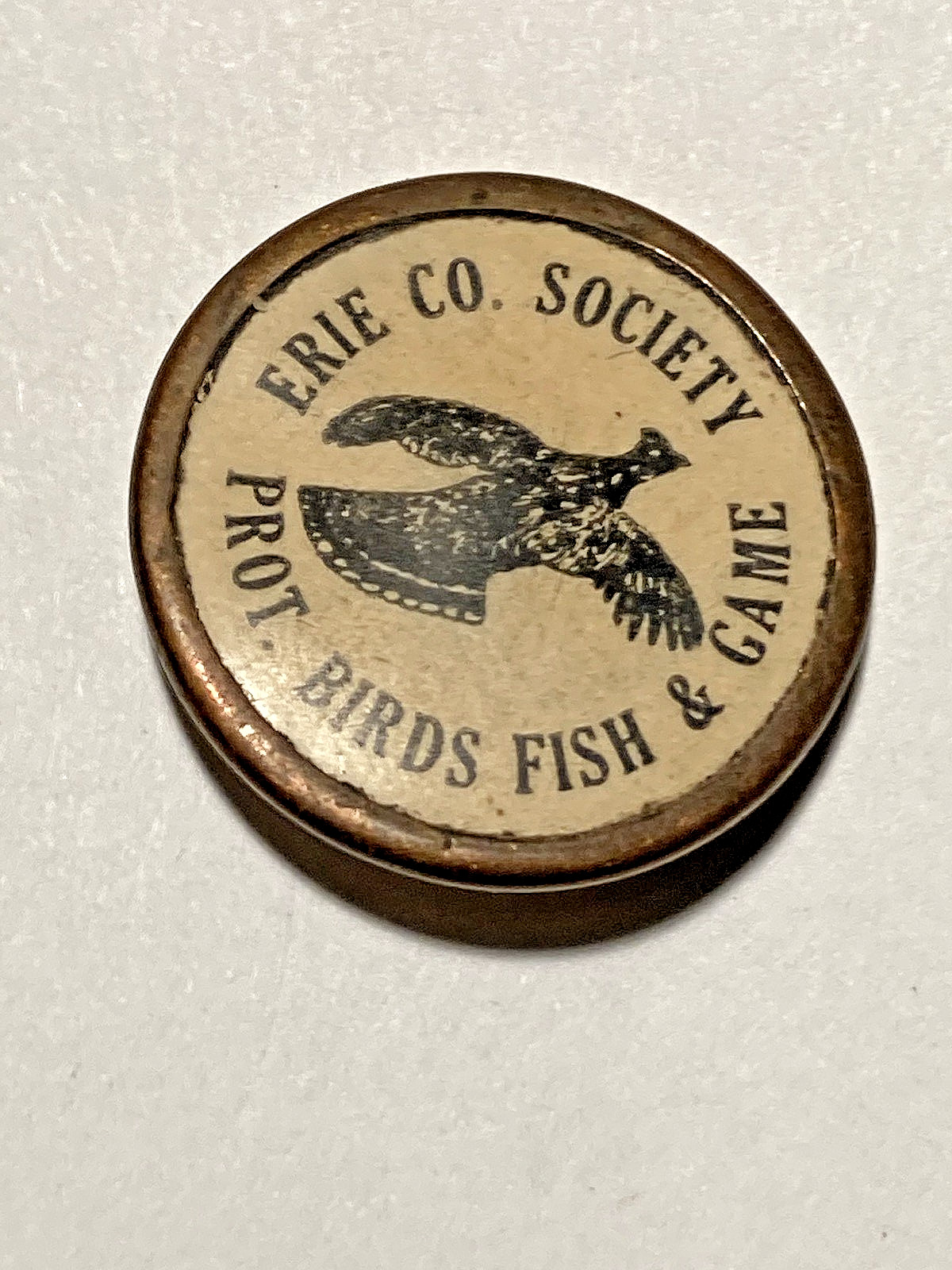 Rare 1896-1915 Erie Co. Society Protection Birds Fish & Game lapel stud pin Club