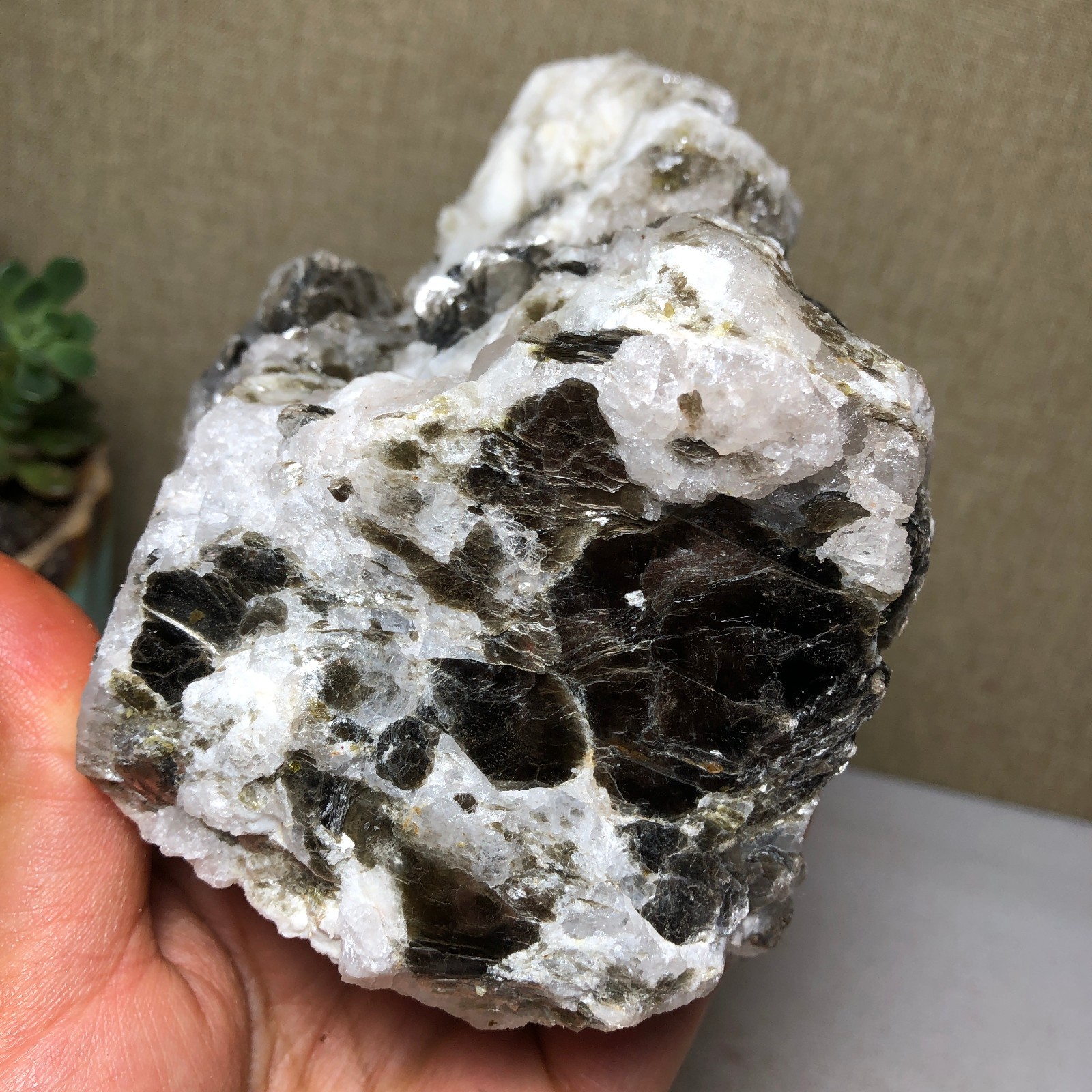 849g Natural green mica paragenesis Crystal uncut original Specimens A4605