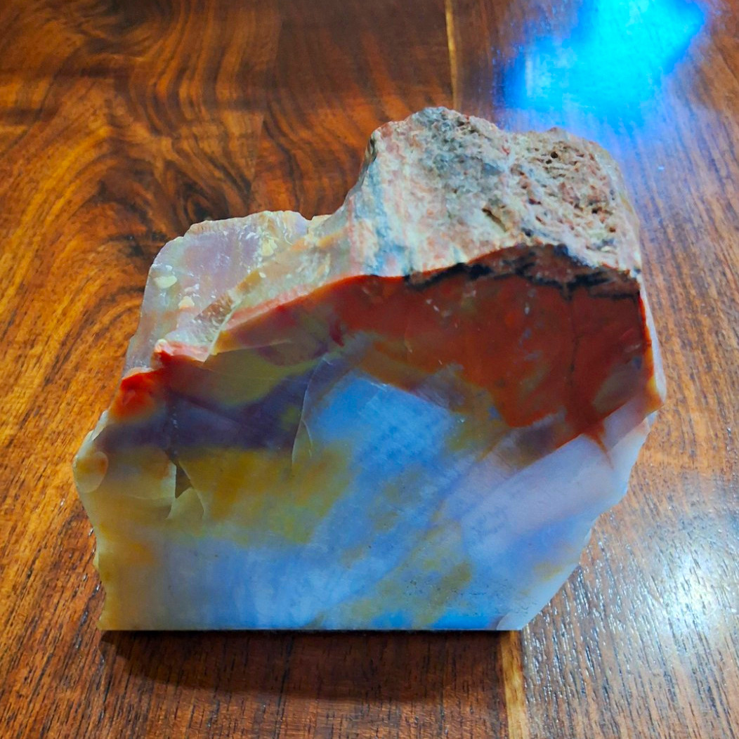 Petrified Wood 1lb 3.6oz Petrified Wood 1lb 3.6oz