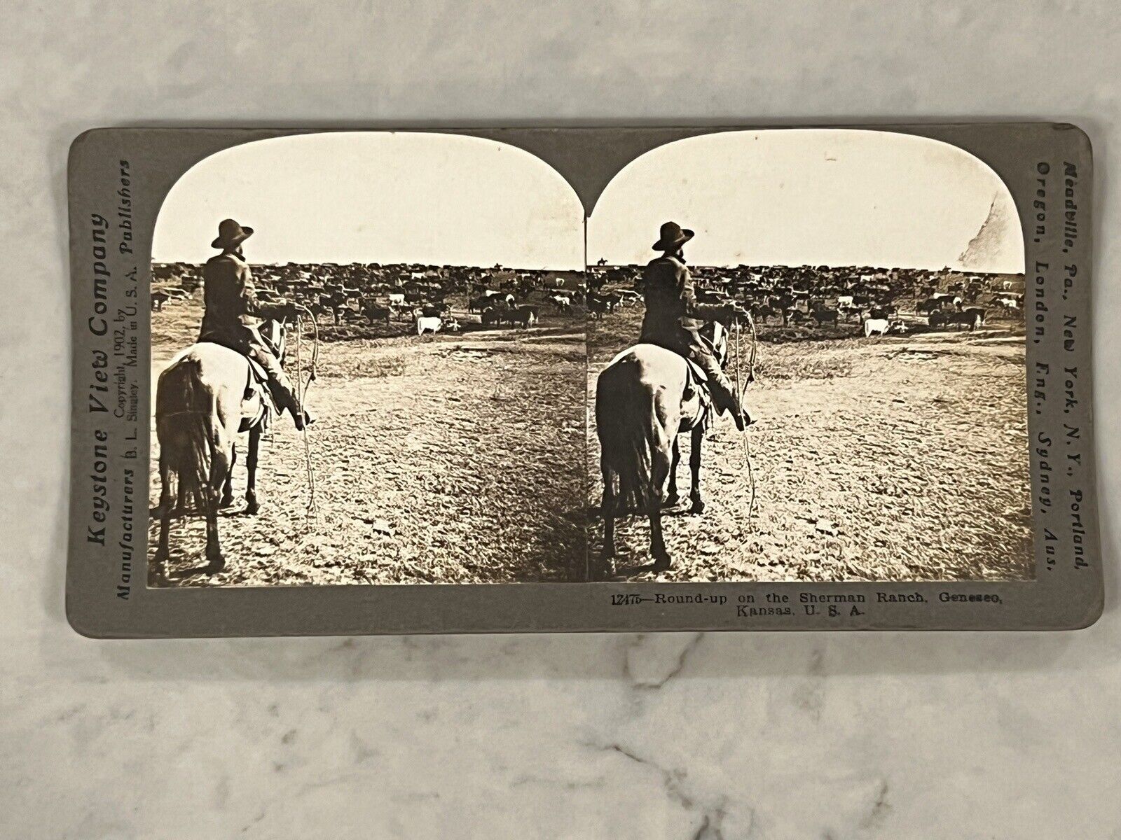 Round-up on the Sherman Ranch, Geneseo, Kansas, Keystone Co. 1902,Historic Photo