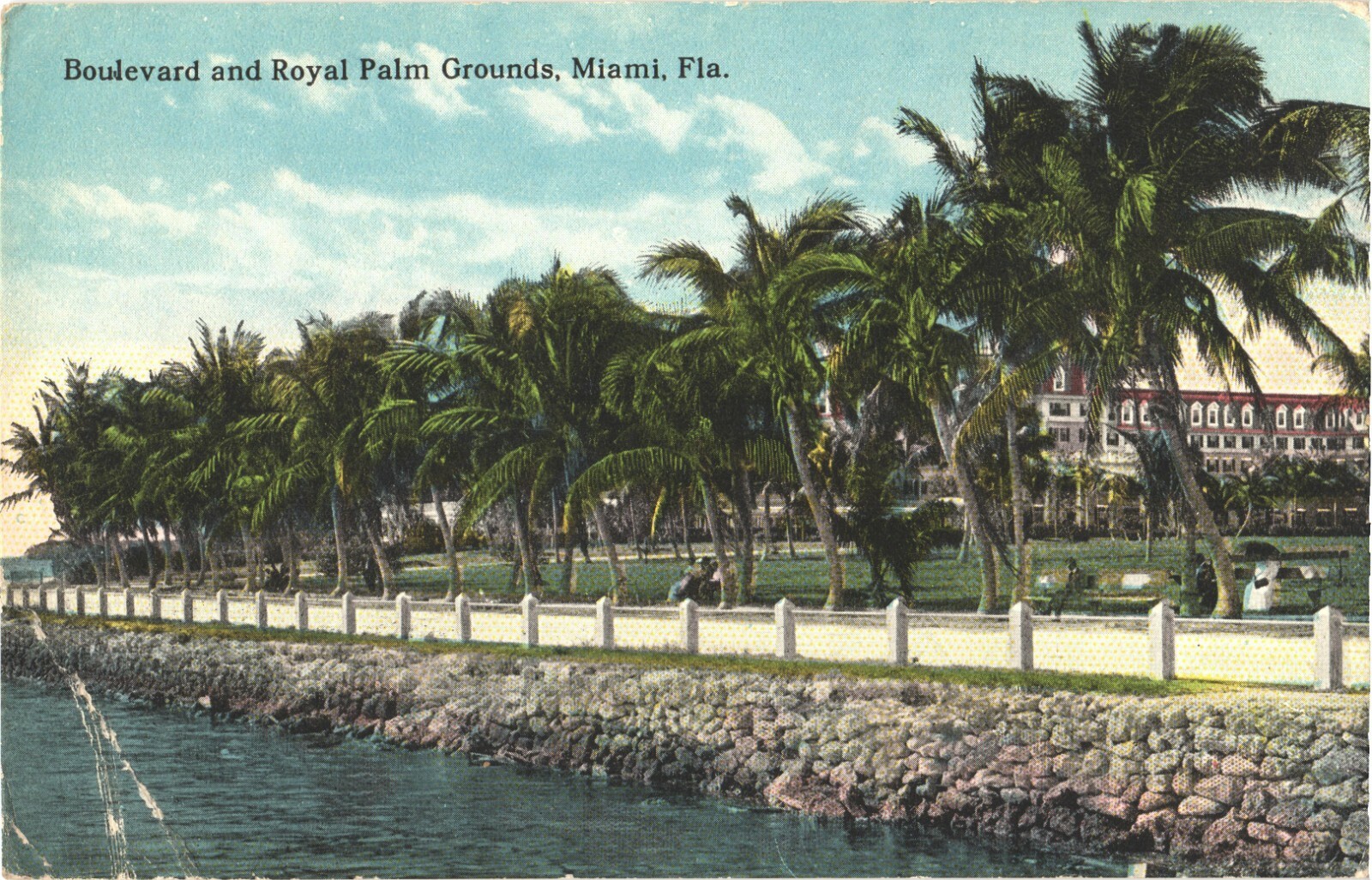 Miami FL Boulevard & Royal Palm Grounds Hotel Divided Back Postcard c1910 Unused