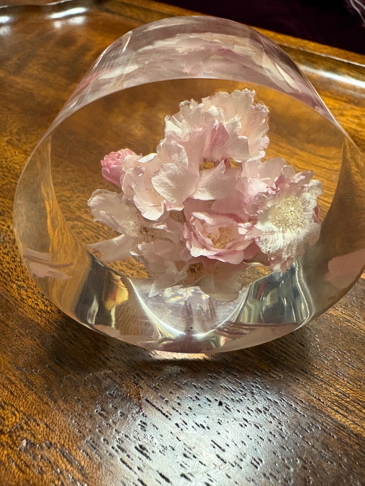 Vintage Japanese Real Cherry Blossom Sakura Paperweight Kiyomizu Temple Kyoto Do