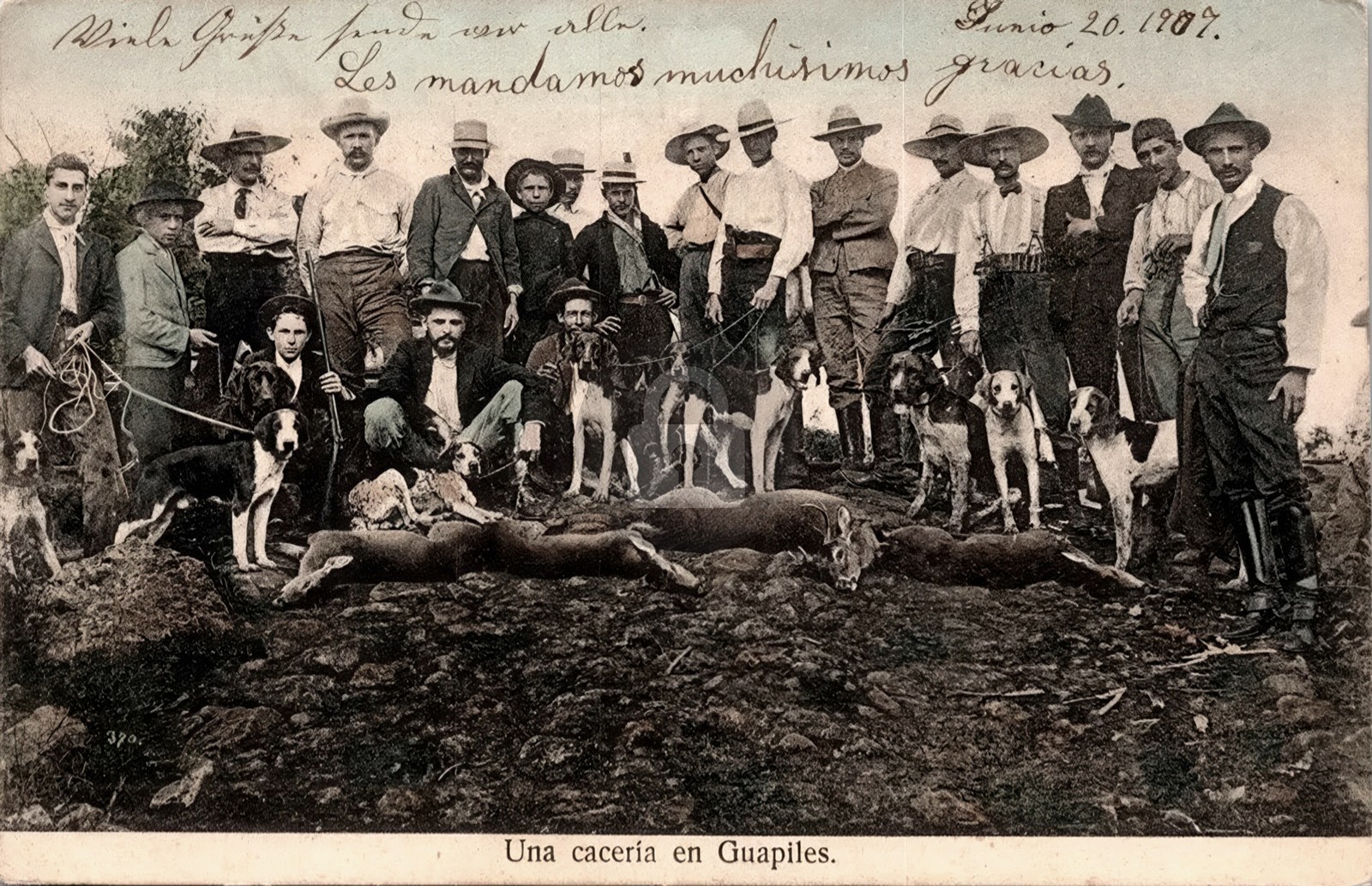 1907 Costa Rica Hunting Guapiles Deer Hounds RPPC Photo Postcard COPY