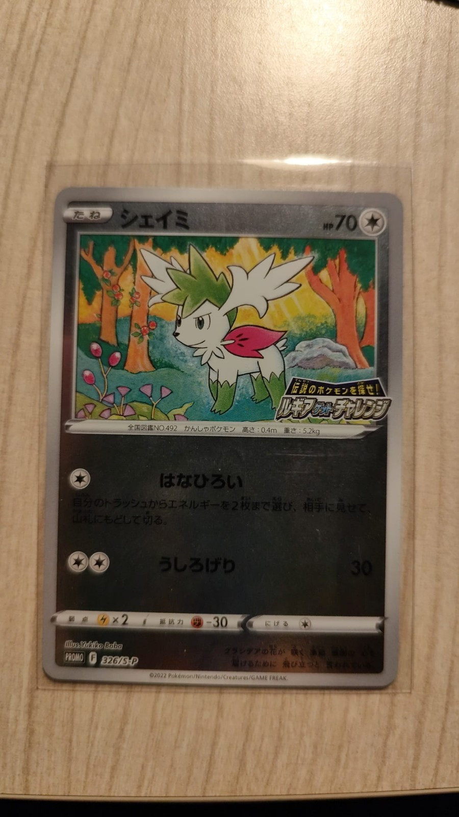 Shaymin 326/S-P Japanese Sword & Shield Lugia Get Challenge Promo - NM