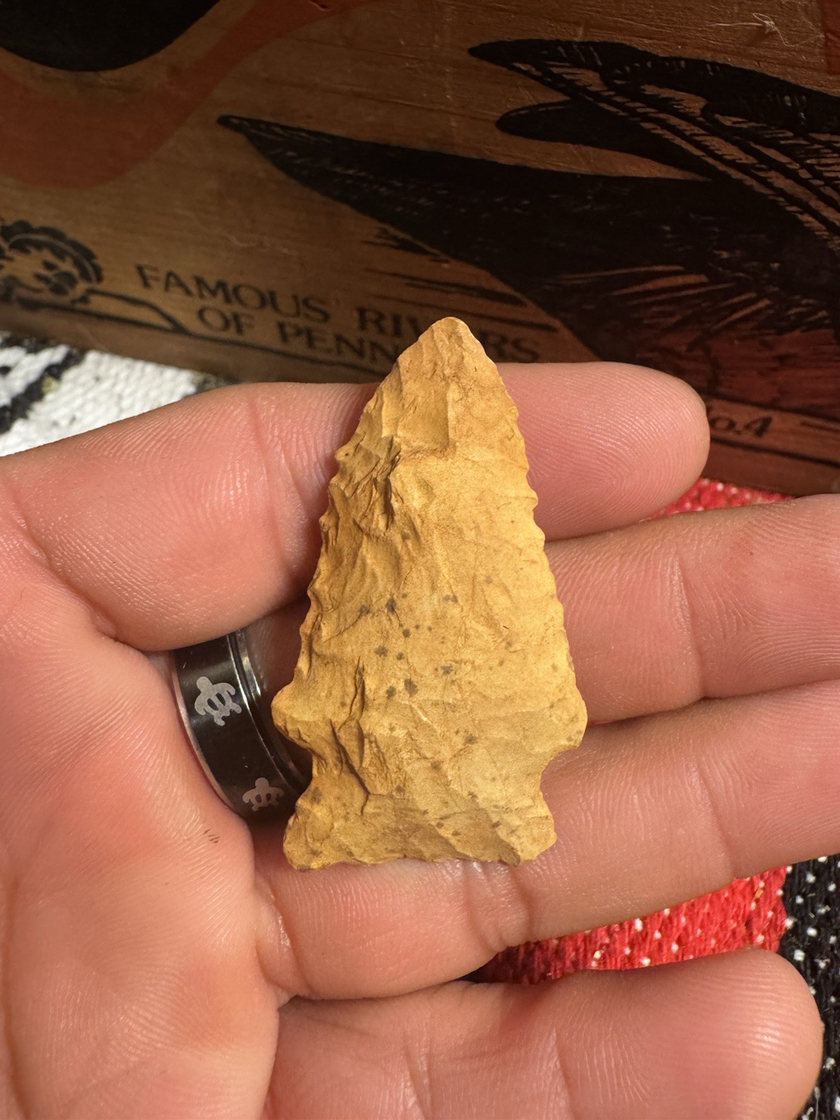 Beautiful Archaic Period Kirk Arrowhead From Tennessee. CS1.