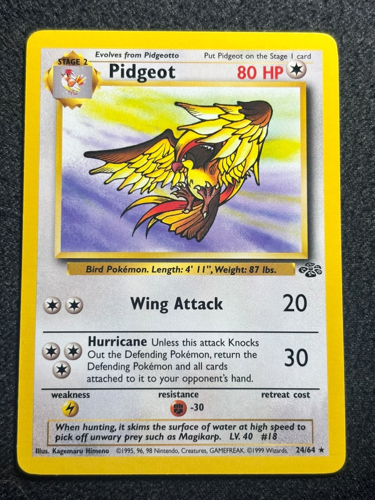 Pidgeot 24/64 Pokemon Card 1999 Jungle Set Original WOTC Non Holo Rare LP
