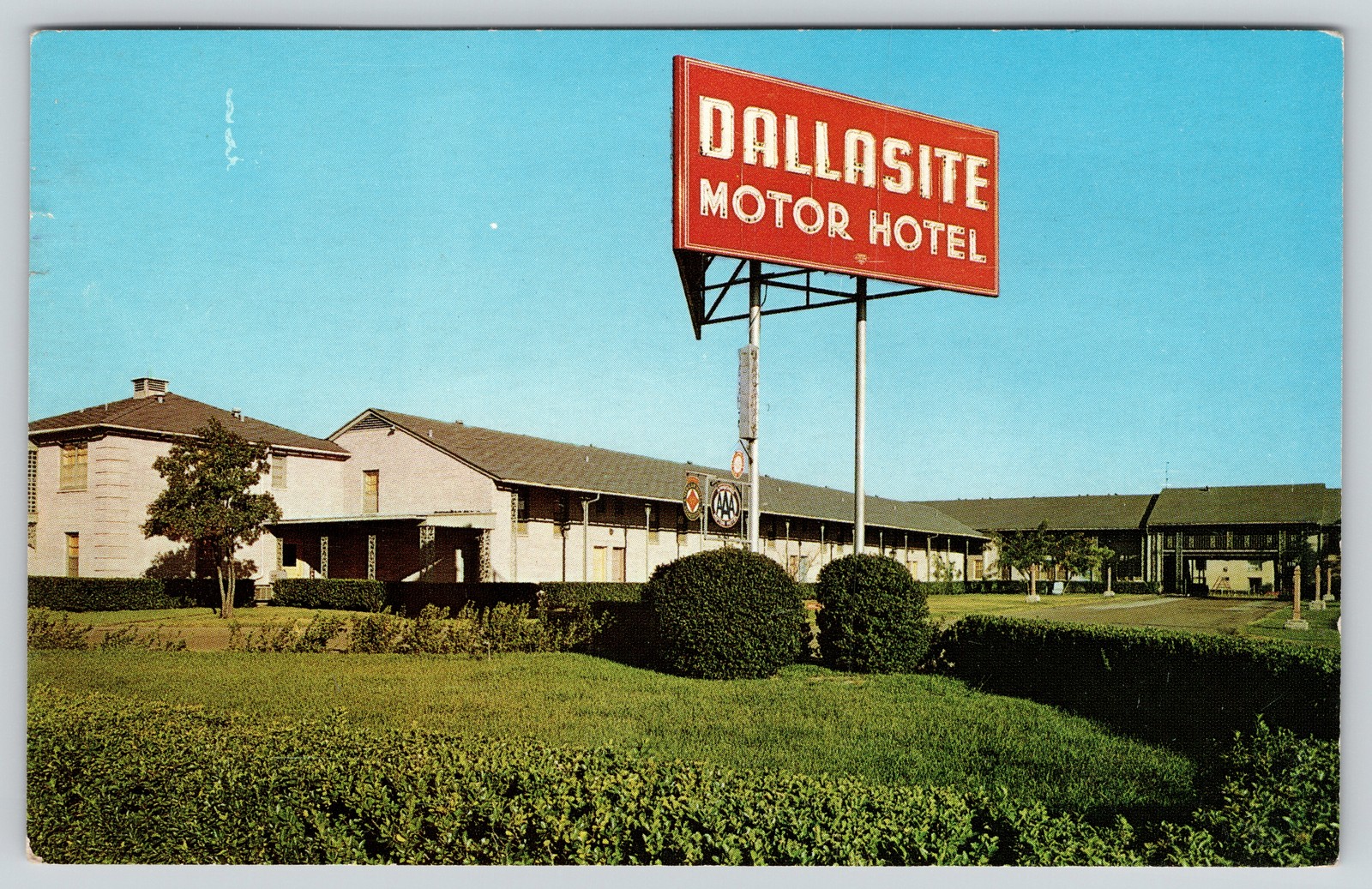 1963 Dallasite Motor Hotel Postcard JFK Motorcade Witness November Dallas TX