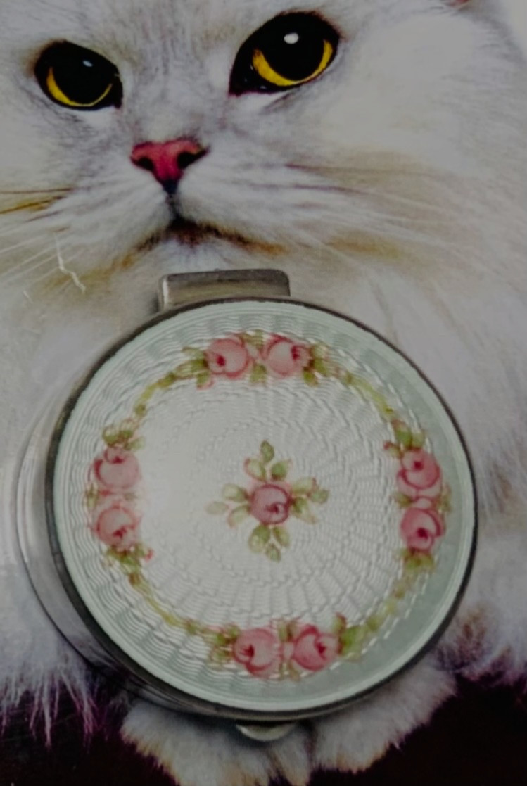 Beautiful Antique HP *STERLING ENAMEL GUILLOCHE*Compact by THOMAE Original PUFF
