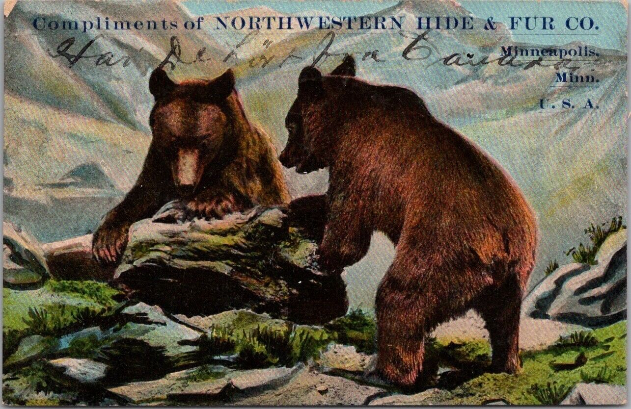 1910 MINNEAPOLIS Minnesota Advertising Postcard NORTHWESTERN HIDE & FUR CO Bears