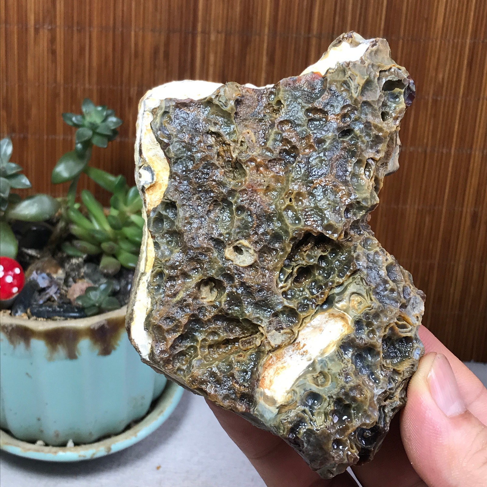 Natural Bonsai Suiseki Gobi Agate Eyes Stone-Stunning original View 264g A7322