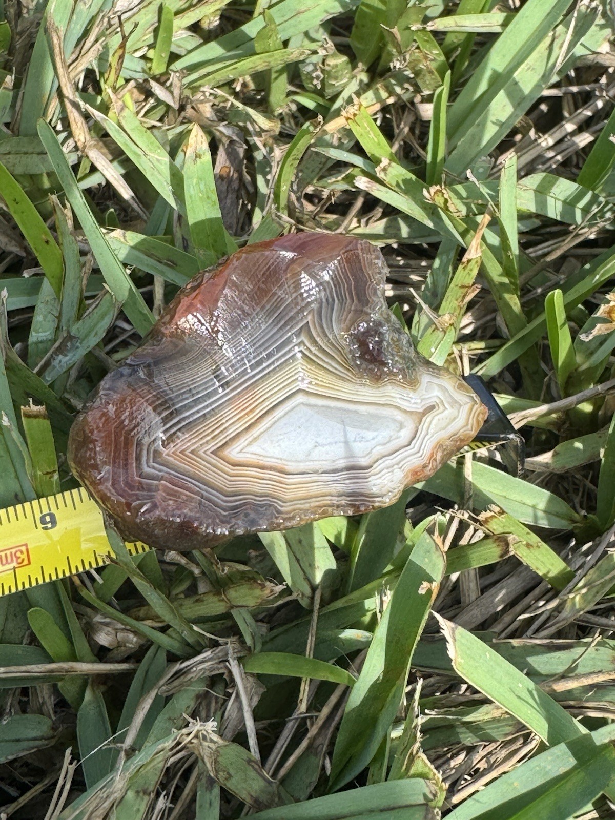 Lake Superior Agate Minnesota