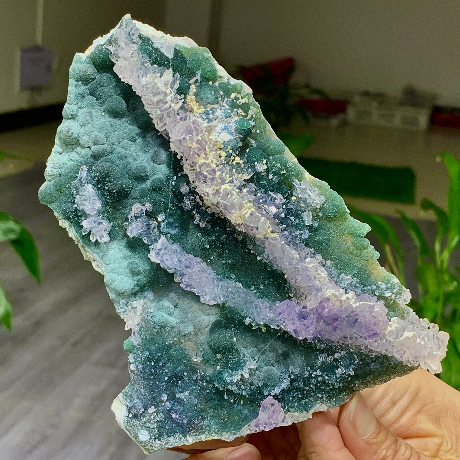 238G Natural Vision Amethyst quartz cluster crystal druzy mineral specimen