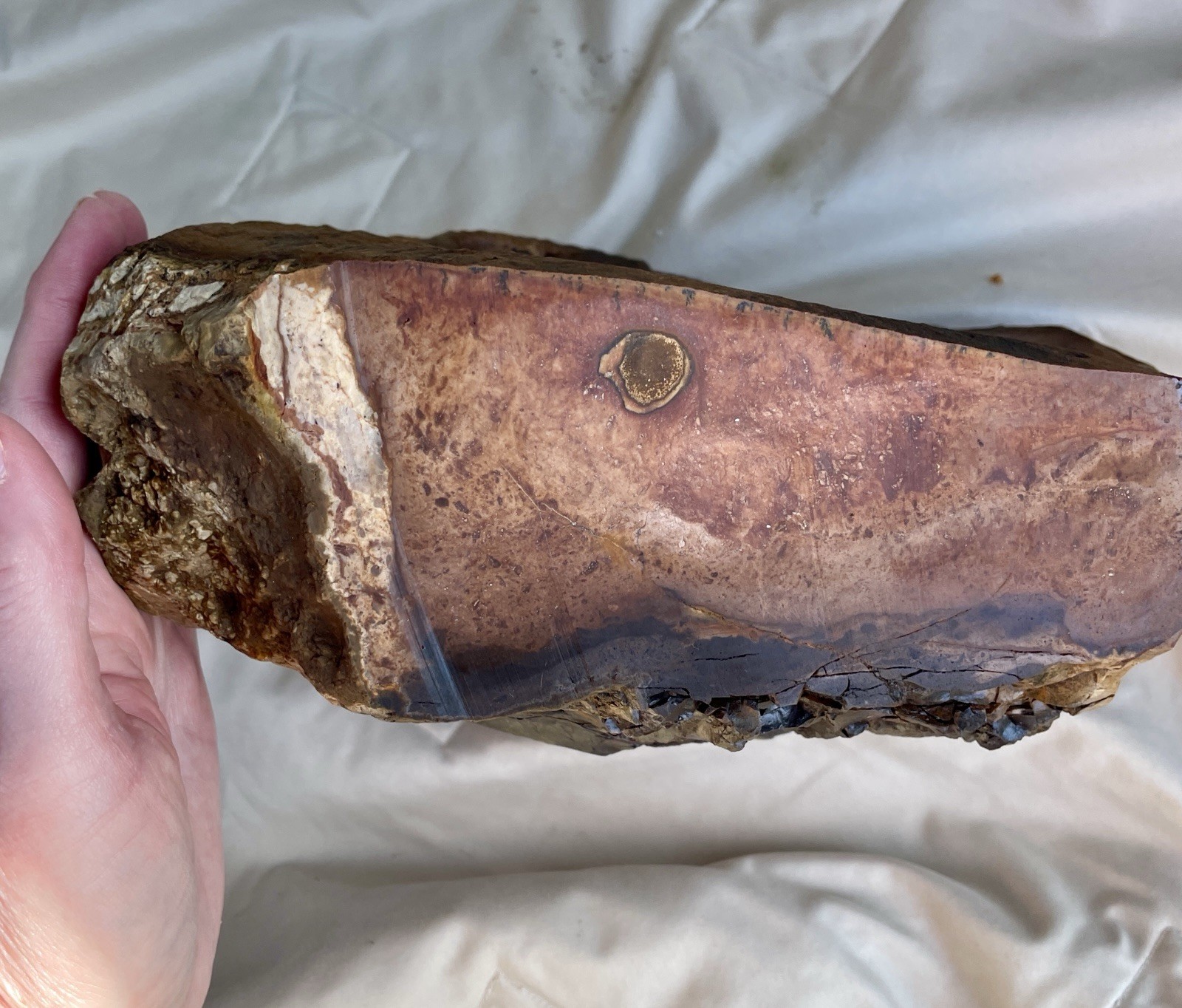 13.1 lb Biggs Picture Jasper Lapidary Rough Cut from Biggs, Oregon