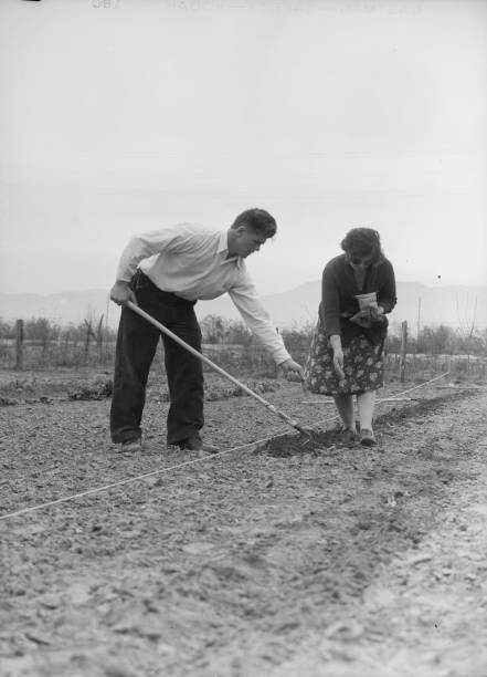 Outskirts of San Bernardino California A new home in California Dr- Old Photo