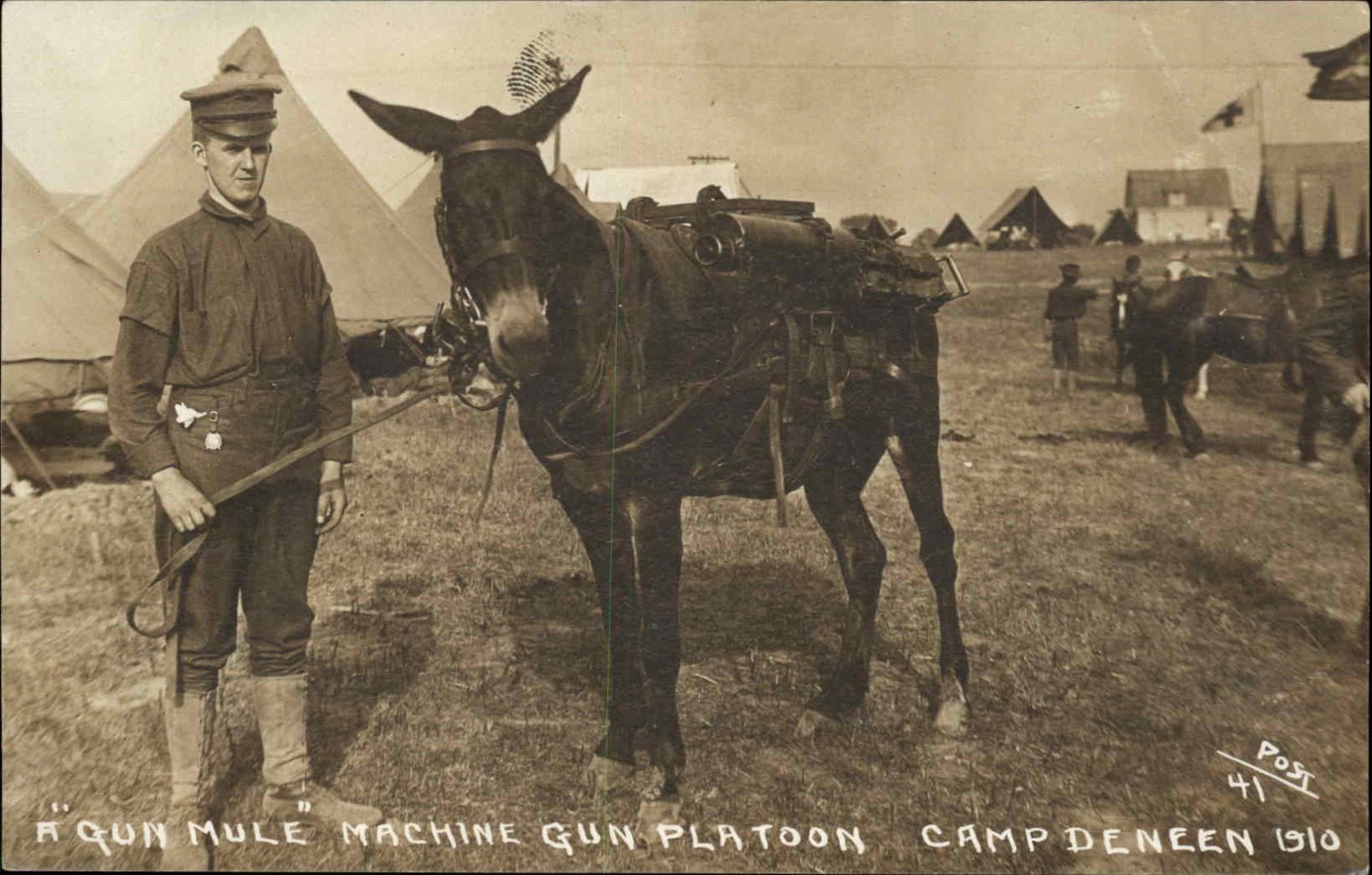 Camp Deneen Illinois Gun Mule Machine Gun Platoon Artillery Weapons c1910 RPPC