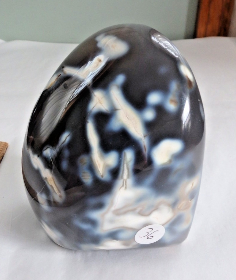 Beautiful Orca Agate • $36 🐋 Polished Free Form •  Eye‑Catching 1 lb 10 oz