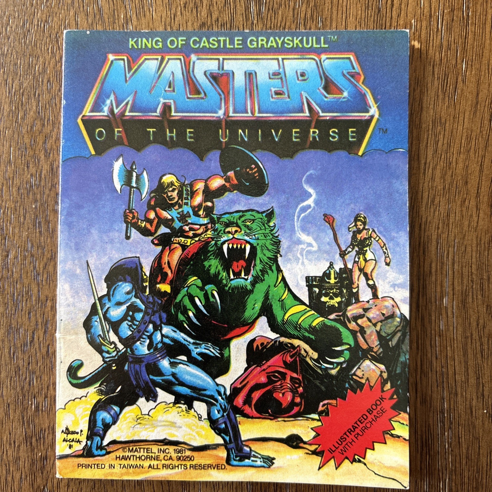 1981 MOTU King of Castle Grayskull Mini Comic He-Man Masters Universe Vintage
