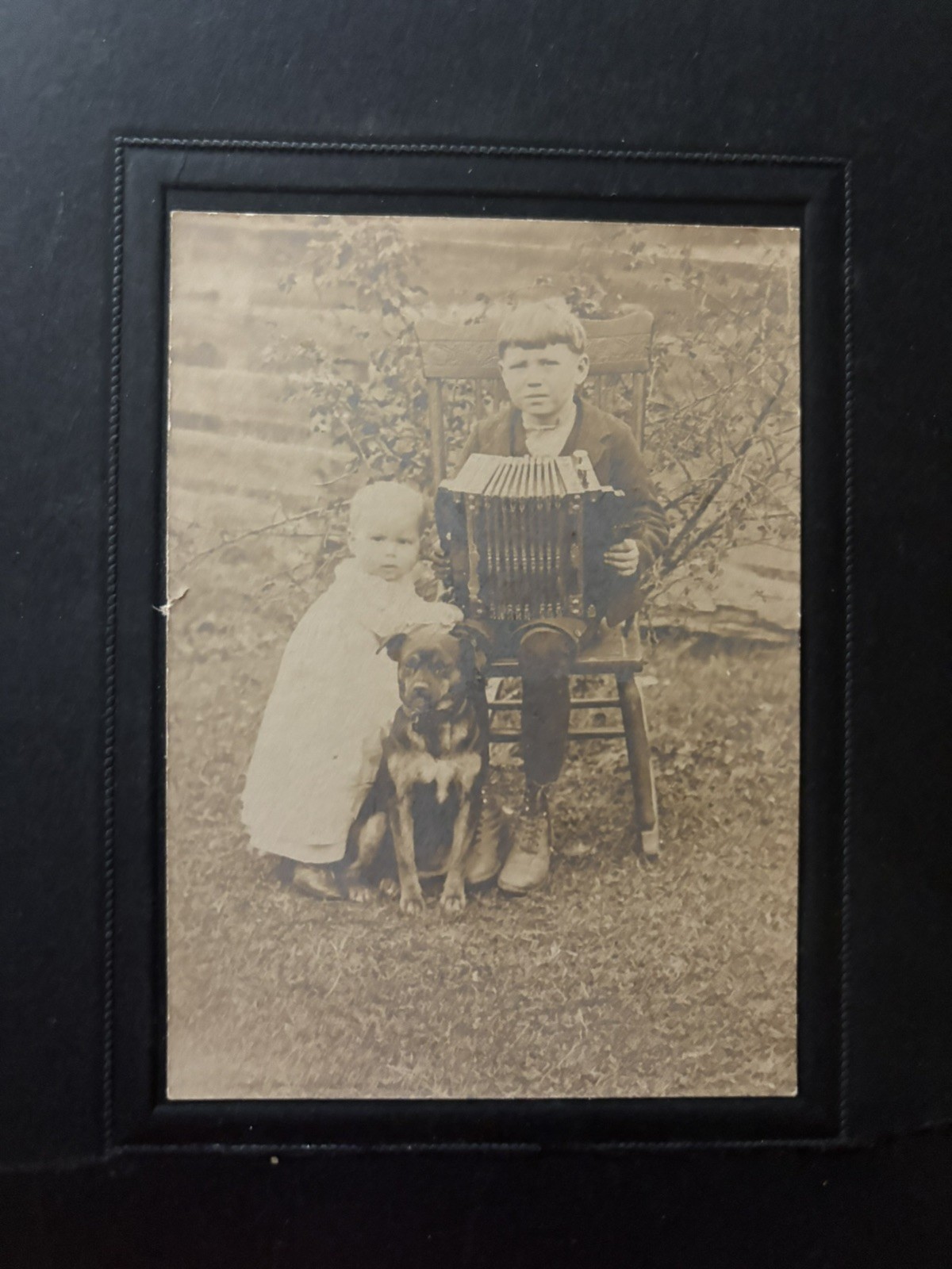 Early 20th Century Photograph of Boy Baby Accordion and Dog Early 20th Century Photograph of Boy Baby Accordion and Dog