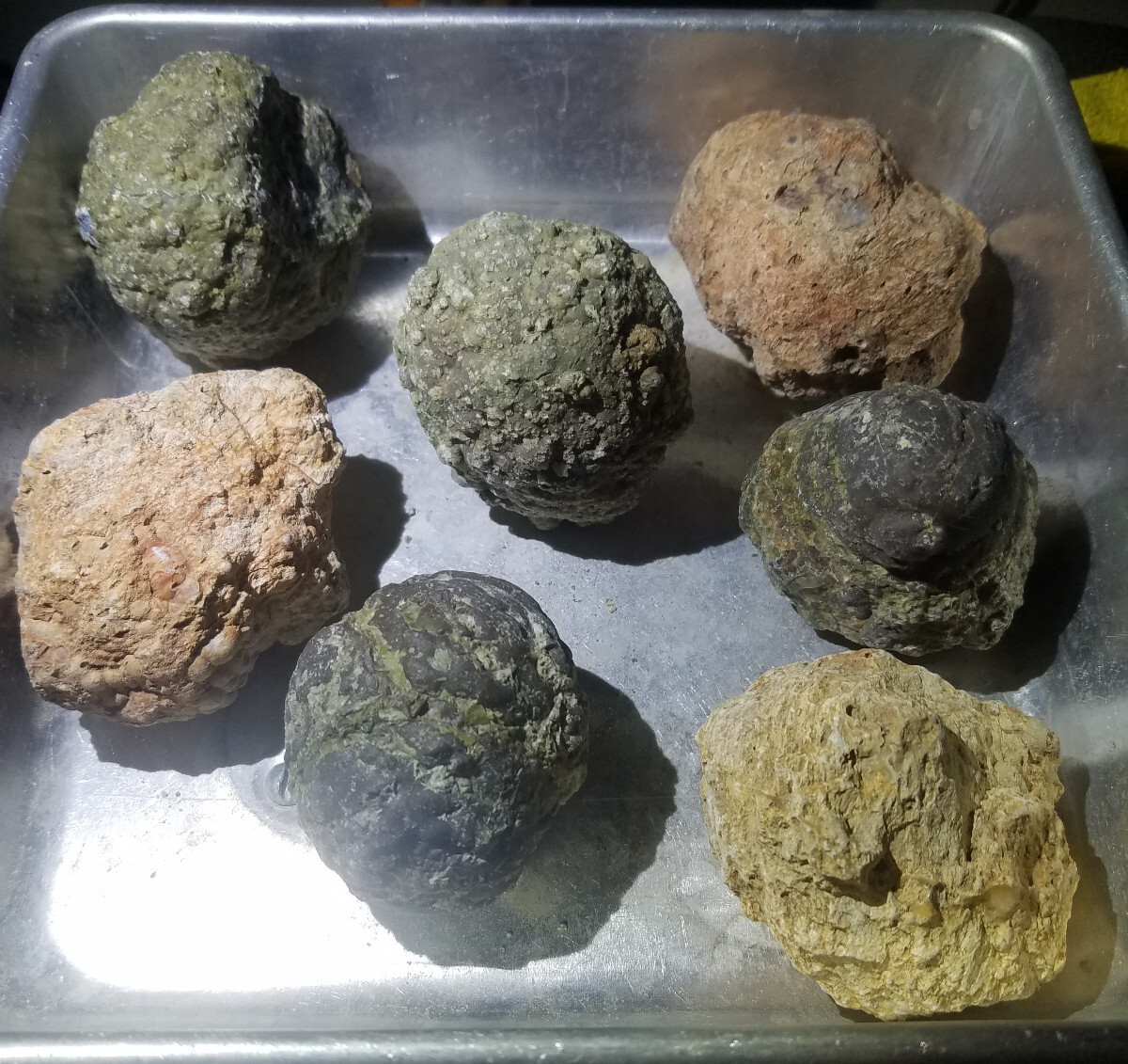 (Each 1-lb LOT) = ( 7 to 8 Thundereggs Rough) • Oregon Rocks • Tumbler Lapidary