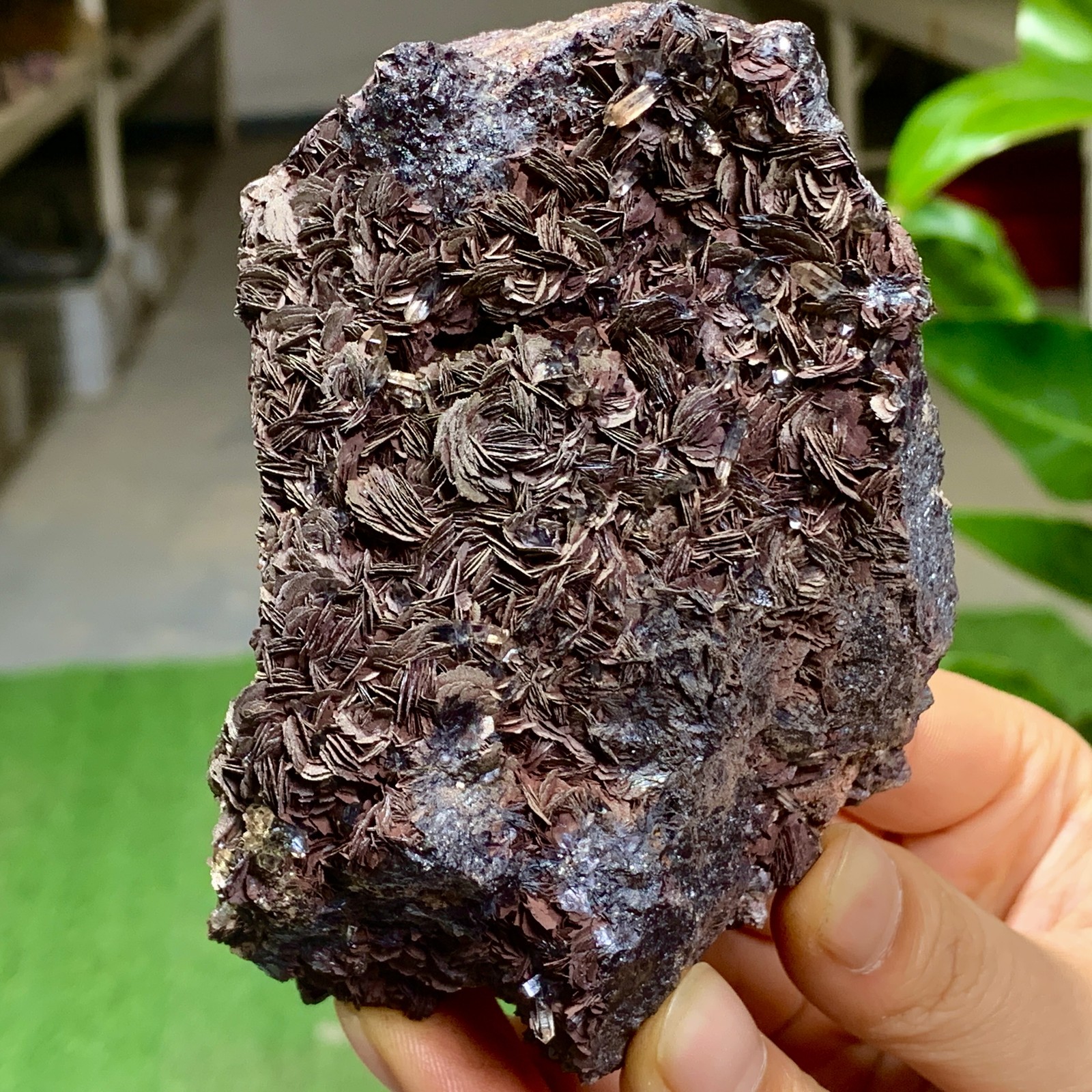 1.22LB Natural Crystal Specularite Hematite Specular Iron Quartz Mica Collectors