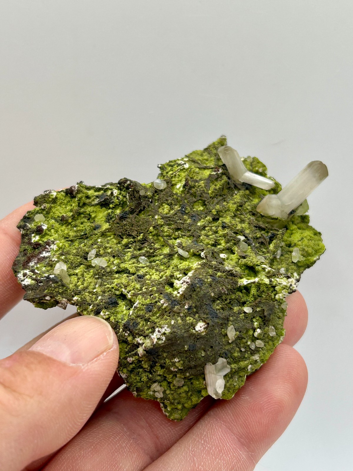 Old Superb V Twin Cerussite on Cast w/ Mottramite, Tsumeb Mine, Namibia