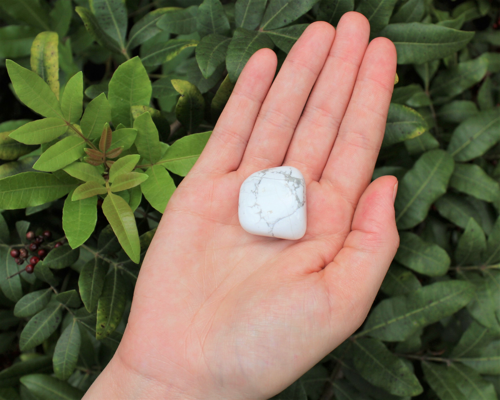 1 White Howlite Tumbled Stone: \'A\' Grade Natural Polished Crystal