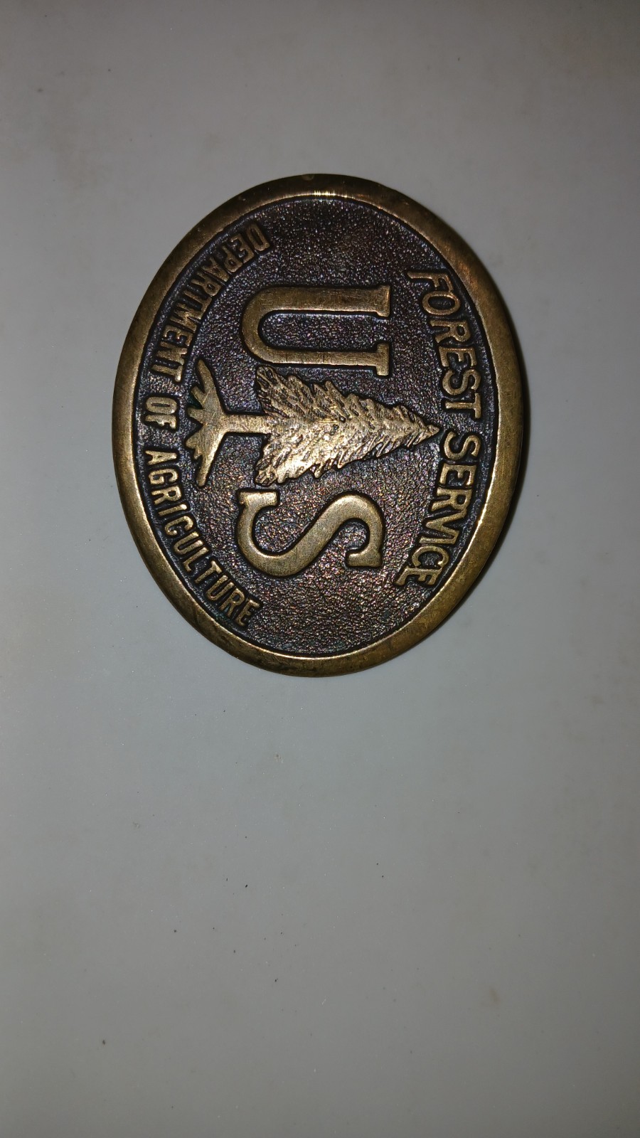 US Forest Service USDA Solid Bronze Belt Buckle 1985 National Parks Theme
