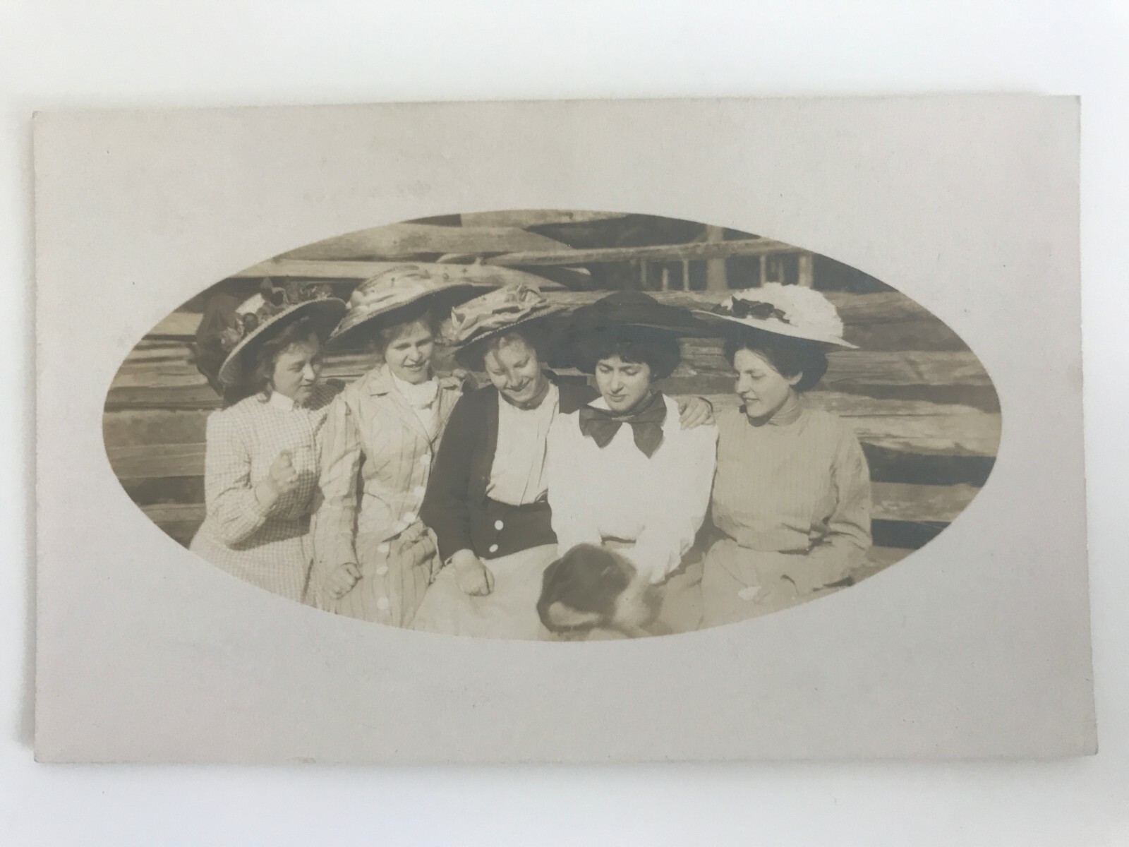 Postcard RPPC Real Photo Group of Women Large Hats Petting Dog AZO Sepia