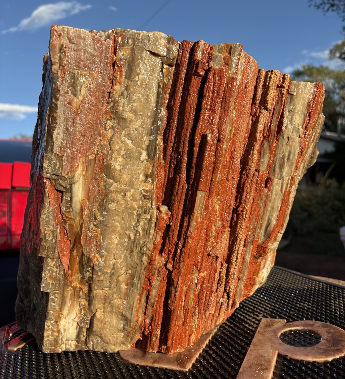 ☘️RR⛏️: Solid Agate W/Multi-colored Druzy Arizona Petrified Wood 83 Lbs 🌈