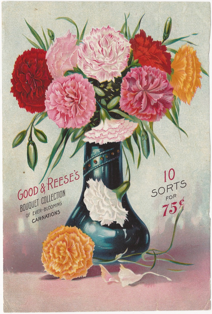 Carnations & Roses Boquets Flower Original Antique Color Garden Advertisement