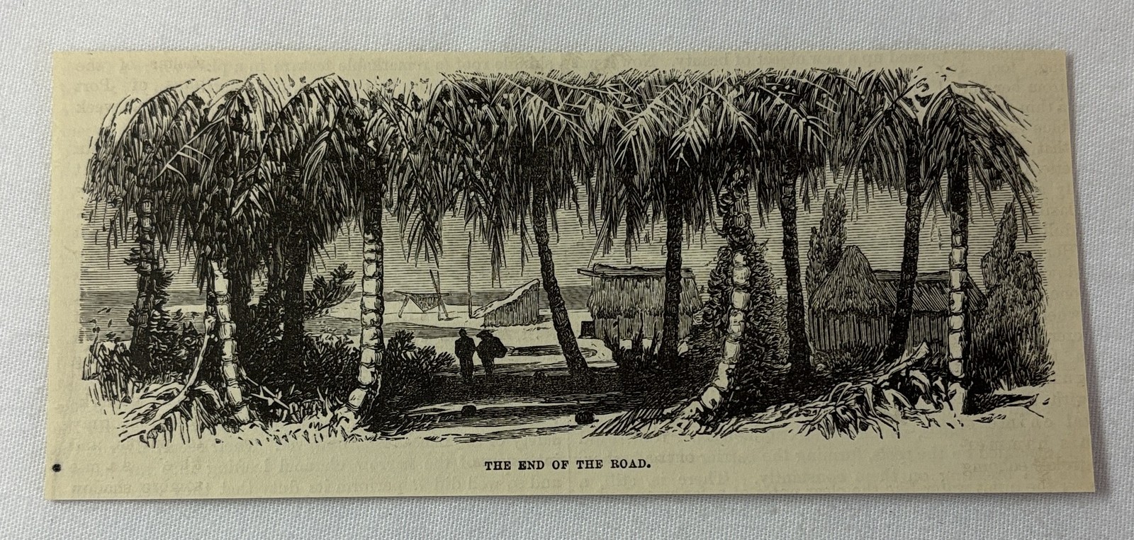 1877 magazine engraving ~ END OF THE ROAD, St Andrews, Jamaica