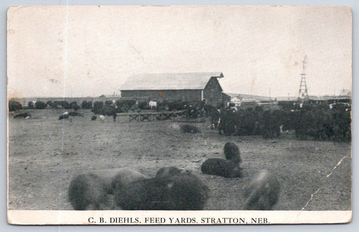 Antique Nebraska Postcard STRATTON C.b. Diehls Feed Yards 1908 Rppc