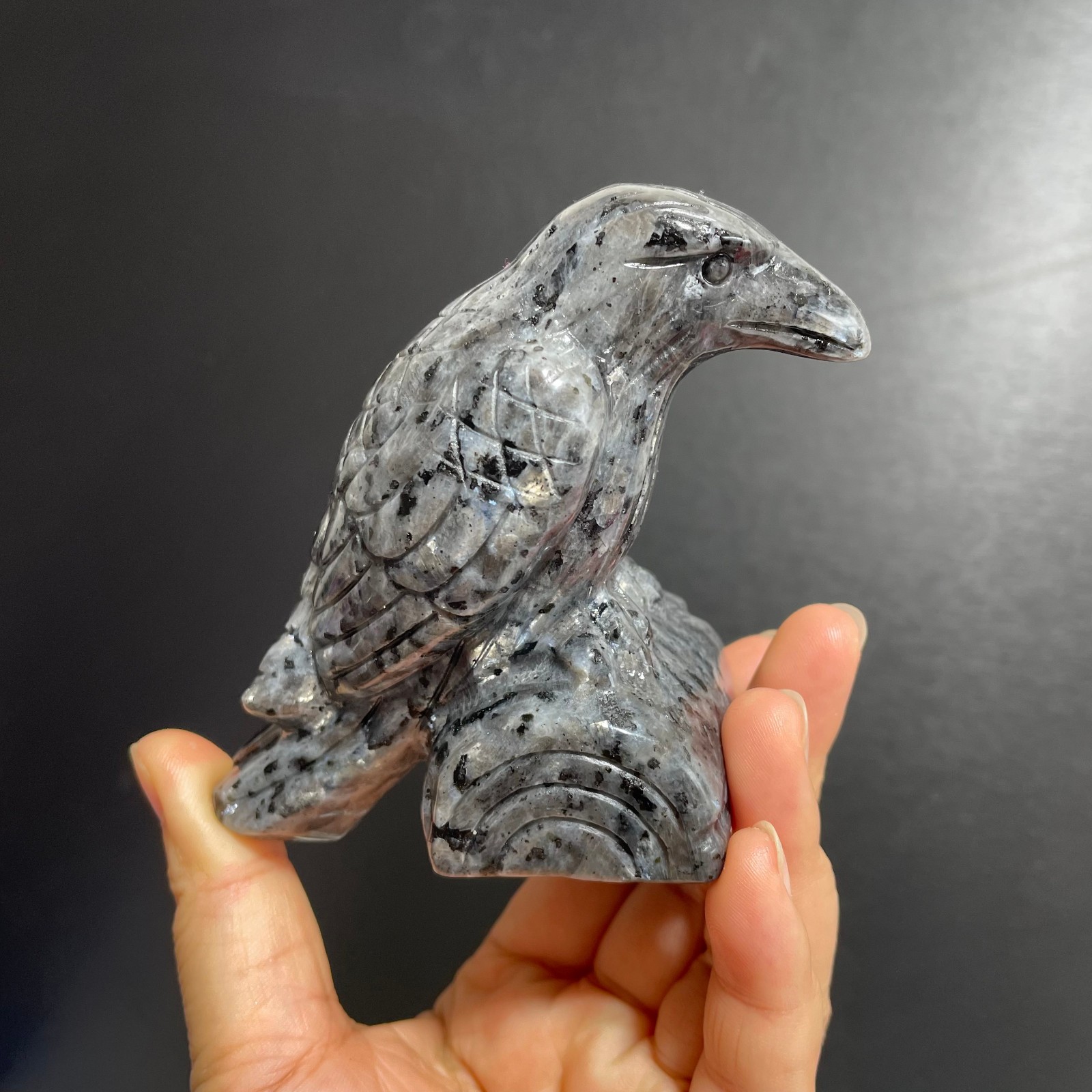 0.89LB spectrolite Raven Bird Natural Healing Crystal carving C1591