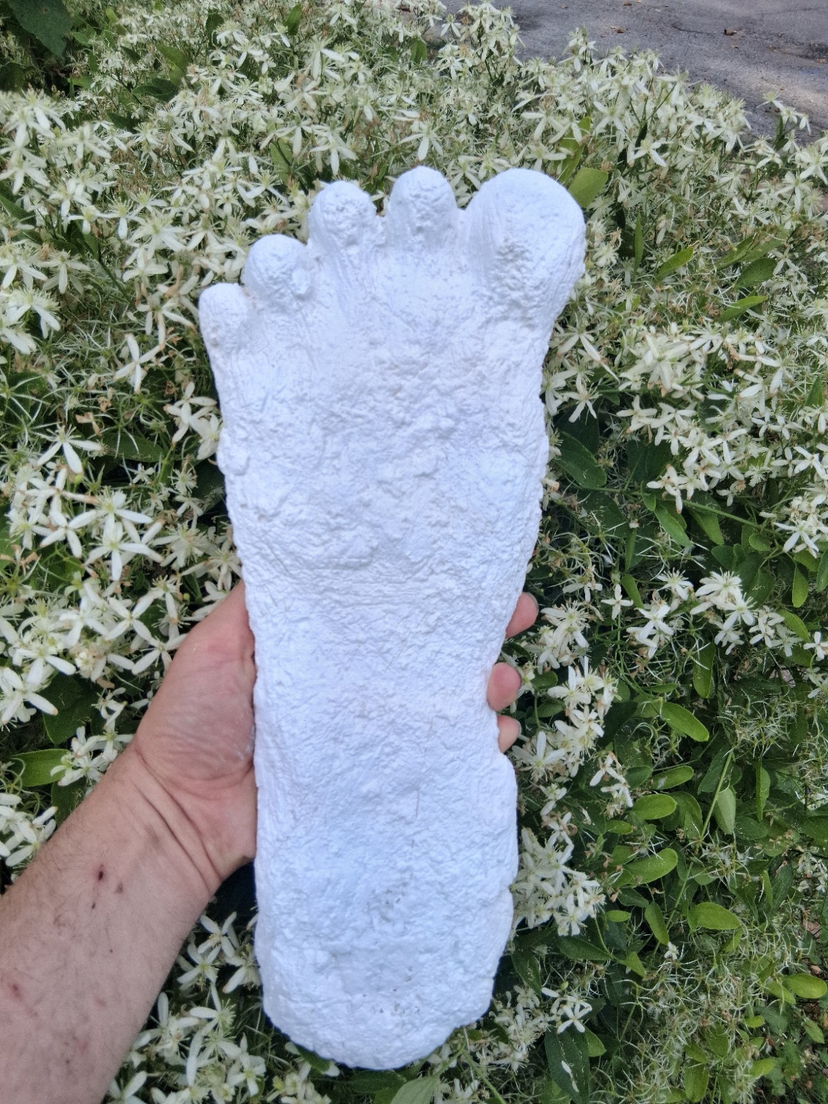 Bigfoot Plaster Cast Large Footprint Stomping Ground