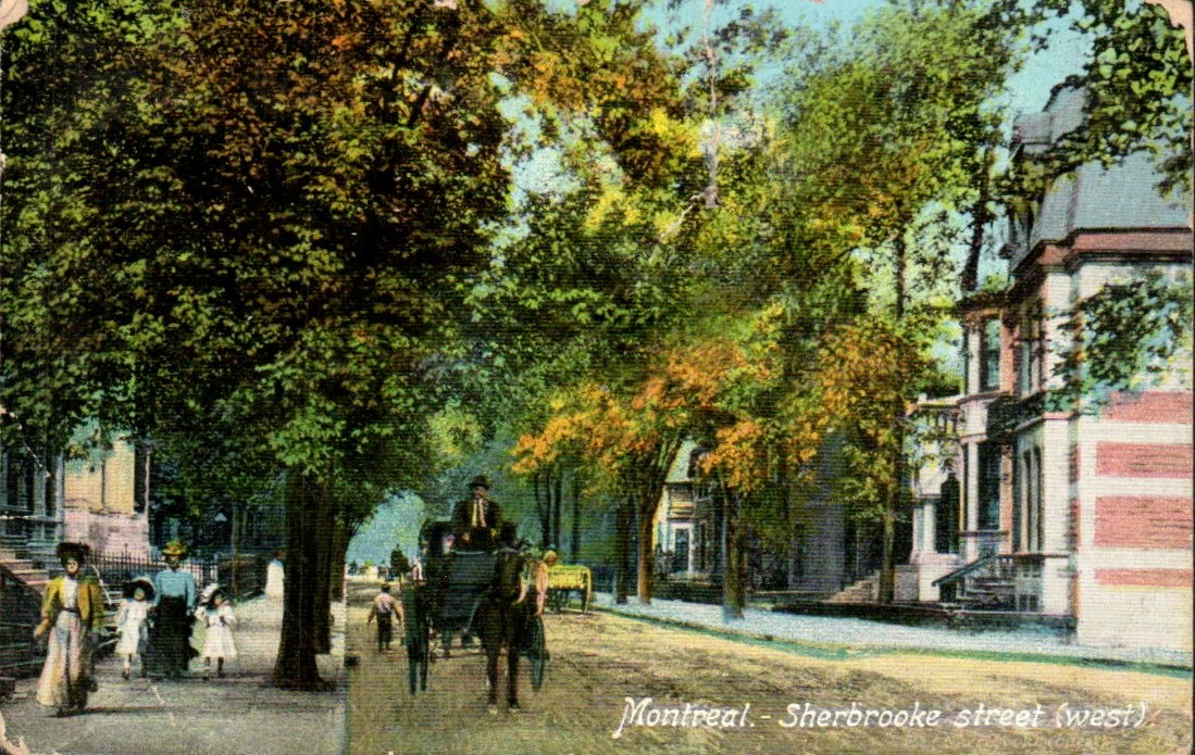 Montreal - Sherbrooke Street West, tree-lined - Antique Postcard - circa 1908