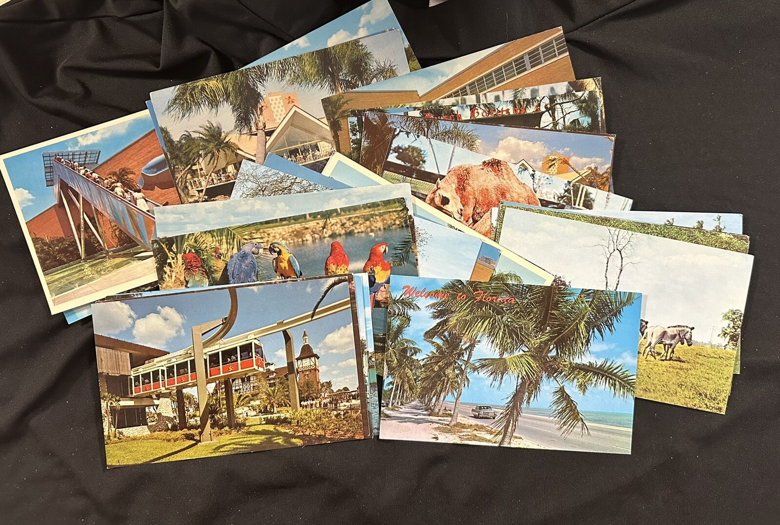 Bush Gardens & Sea Aquarium 1950-1960’s Unused Lot Of 30 Postcards Animals Flora