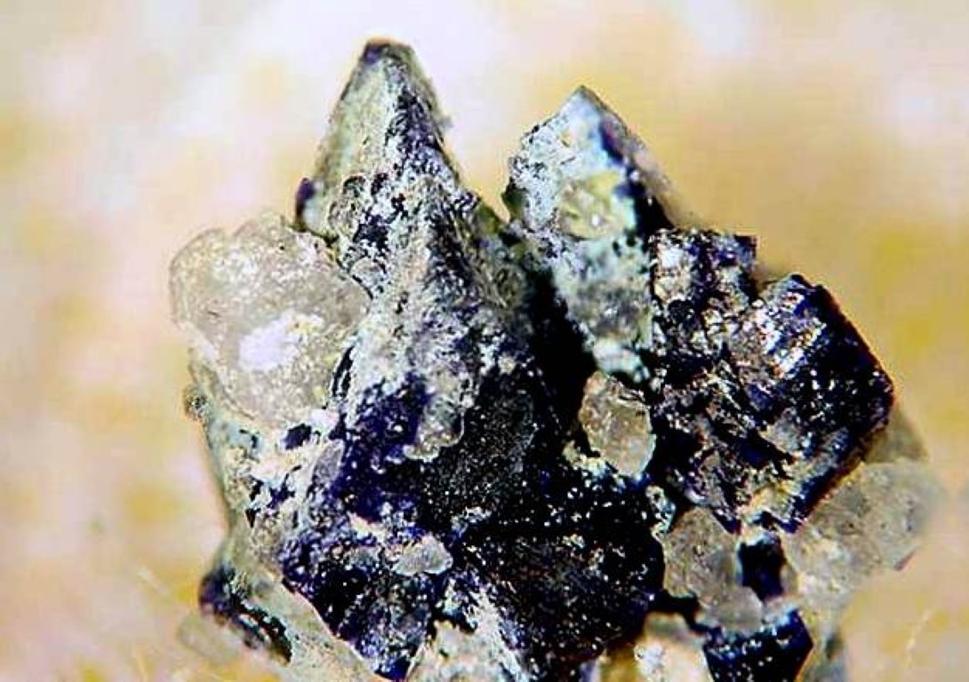HENMILITE - Type Locality - Fuka Mine, Takahashi, JAPAN