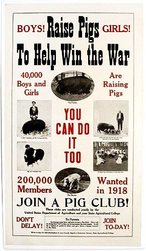 Original WWI US War Garden Poster - Raise pigs to help win the war, rare